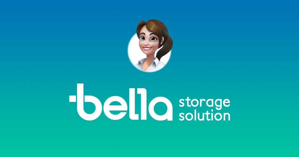 Bella Storage Solution 30 Gallon Locking Lid Storage Container - Clear Base  & Sharkskin Lid